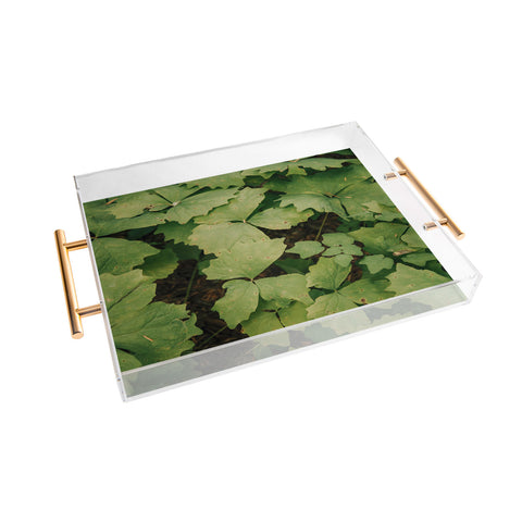 Hannah Kemp Achlys Triphylla Acrylic Tray