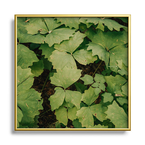 Hannah Kemp Achlys Triphylla Square Metal Framed Art Print