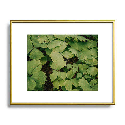 Hannah Kemp Achlys Triphylla Metal Framed Art Print