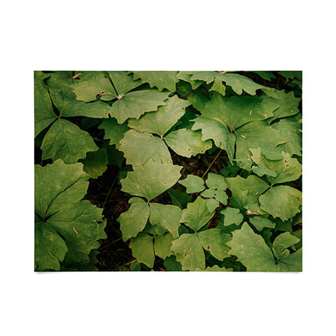 Hannah Kemp Achlys Triphylla Poster