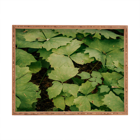 Hannah Kemp Achlys Triphylla Rectangular Tray