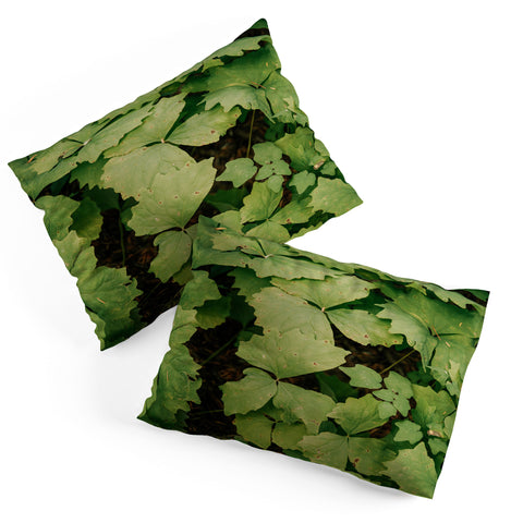 Hannah Kemp Achlys Triphylla Pillow Shams