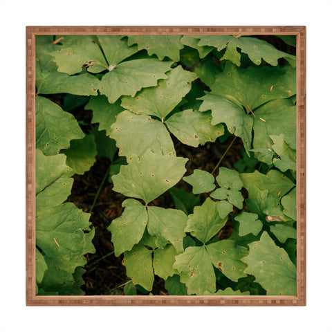 Hannah Kemp Achlys Triphylla Square Tray