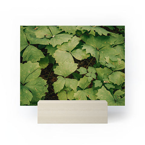 Hannah Kemp Achlys Triphylla Mini Art Print