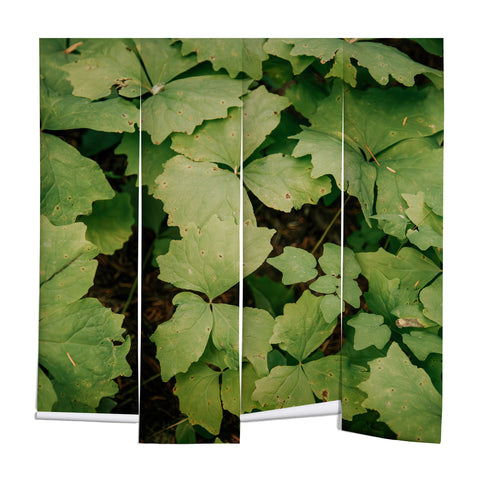 Hannah Kemp Achlys Triphylla Wall Mural
