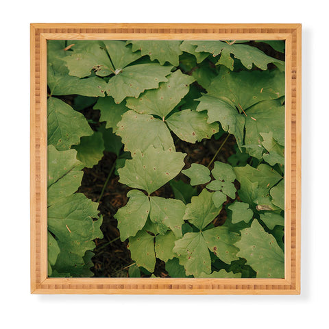Hannah Kemp Achlys Triphylla Framed Wall Art