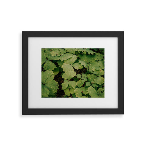 Hannah Kemp Achlys Triphylla Framed Art Print