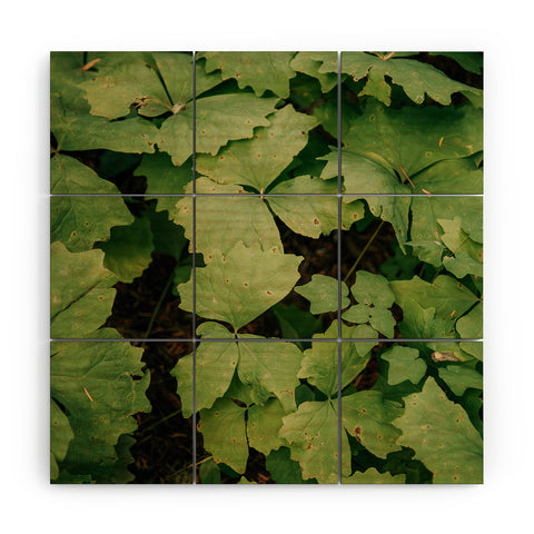 Hannah Kemp Achlys Triphylla Wood Wall Mural