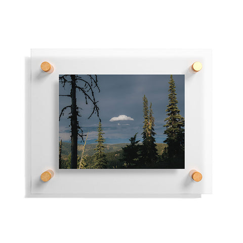 Hannah Kemp All Alone Floating Acrylic Print