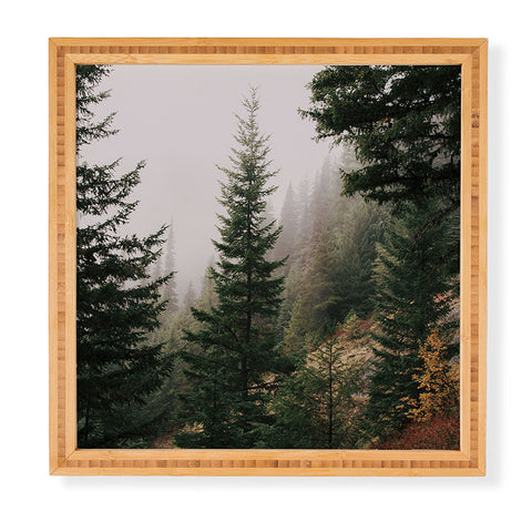 Hannah Kemp Autumn Wilderness Framed Wall Art
