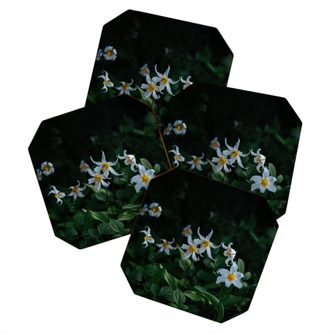 Hannah Kemp Avalanche Lilies Coaster Set