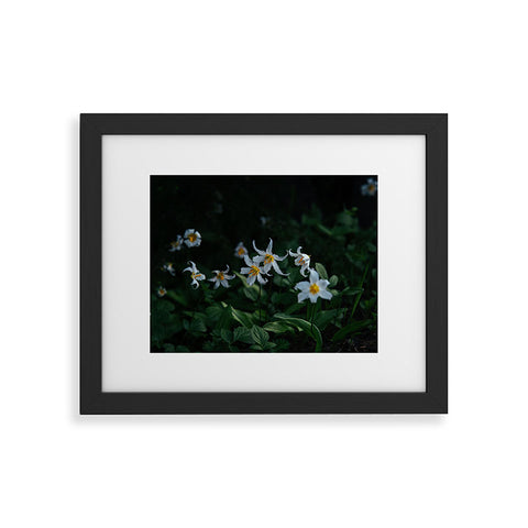 Hannah Kemp Avalanche Lilies Framed Art Print
