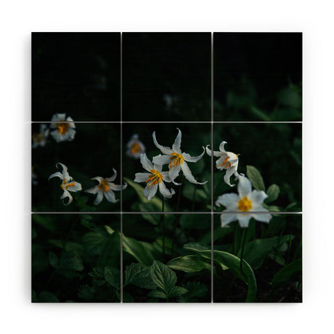 Hannah Kemp Avalanche Lilies Wood Wall Mural