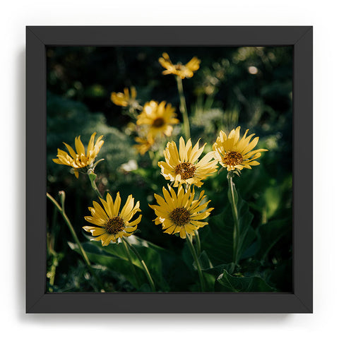Hannah Kemp Balsamorhiza Sagittata Recessed Framing Square