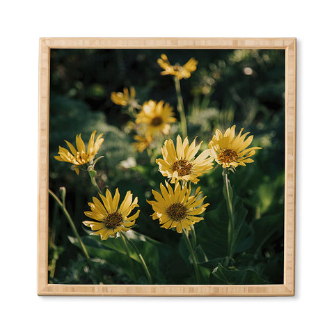 Hannah Kemp Balsamorhiza Sagittata Framed Wall Art