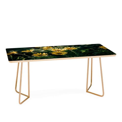 Hannah Kemp Balsamorhiza Sagittata Coffee Table