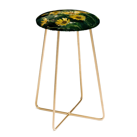 Hannah Kemp Balsamorhiza Sagittata Counter Stool