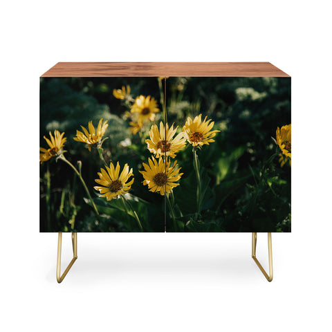 Hannah Kemp Balsamorhiza Sagittata Credenza