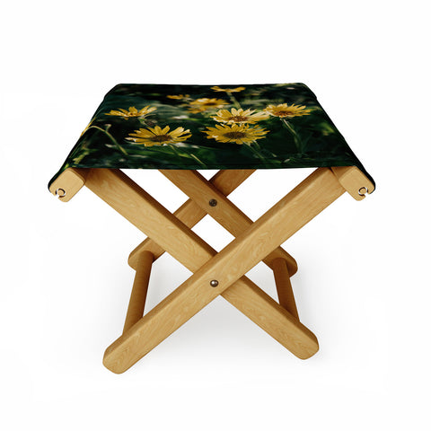 Hannah Kemp Balsamorhiza Sagittata Folding Stool