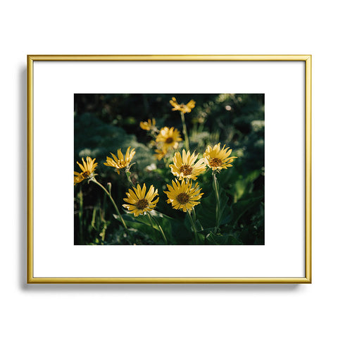Hannah Kemp Balsamorhiza Sagittata Metal Framed Art Print