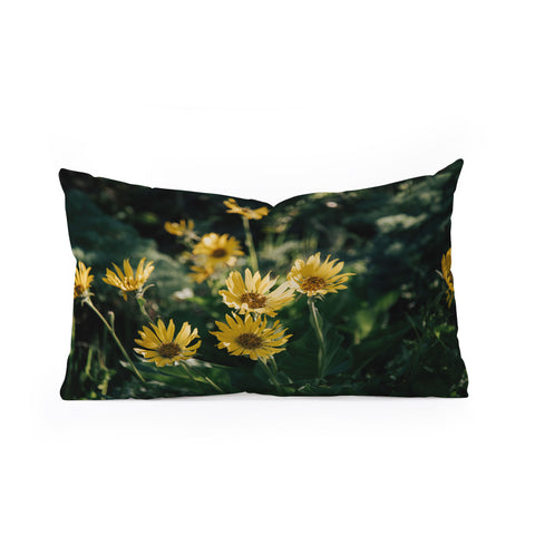Hannah Kemp Balsamorhiza Sagittata Oblong Throw Pillow