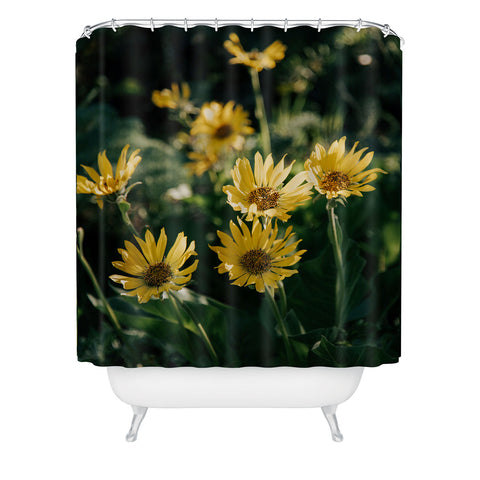 Hannah Kemp Balsamorhiza Sagittata Shower Curtain