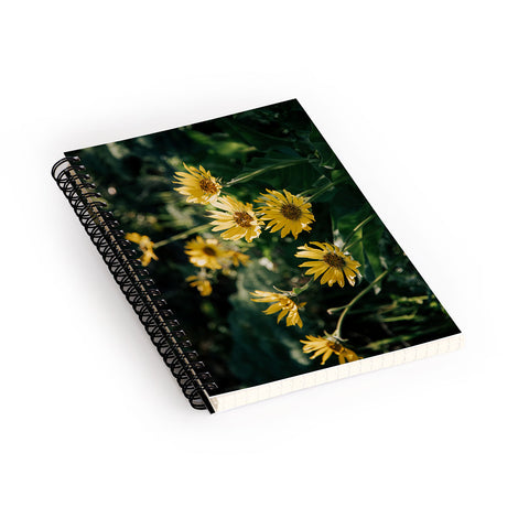 Hannah Kemp Balsamorhiza Sagittata Spiral Notebook