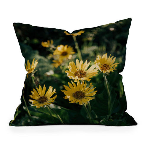 Hannah Kemp Balsamorhiza Sagittata Outdoor Throw Pillow