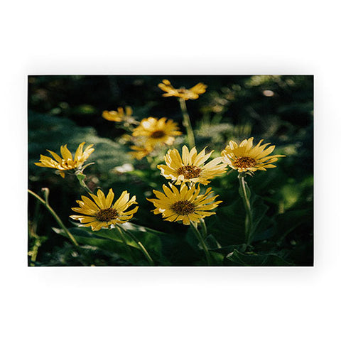 Hannah Kemp Balsamorhiza Sagittata Welcome Mat