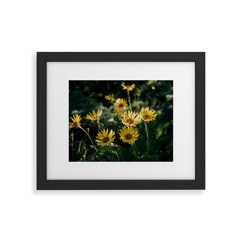 Hannah Kemp Balsamorhiza Sagittata Framed Art Print
