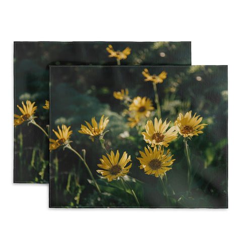 Hannah Kemp Balsamorhiza Sagittata Placemat