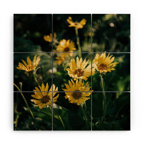 Hannah Kemp Balsamorhiza Sagittata Wood Wall Mural
