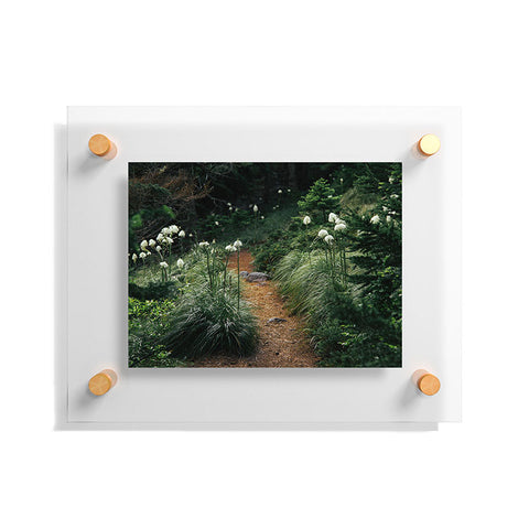 Hannah Kemp Bear Grass Trail Floating Acrylic Print