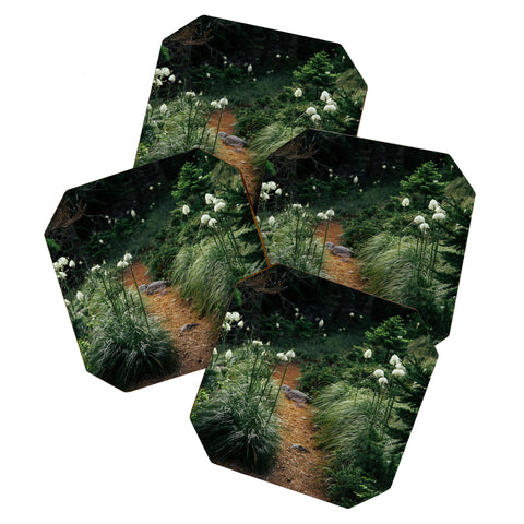 Hannah Kemp Bear Grass Trail Coaster Set