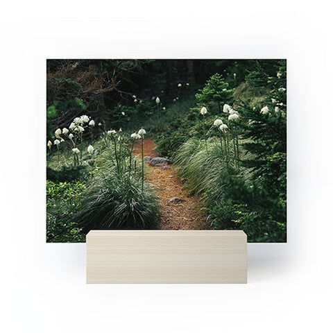 Hannah Kemp Bear Grass Trail Mini Art Print