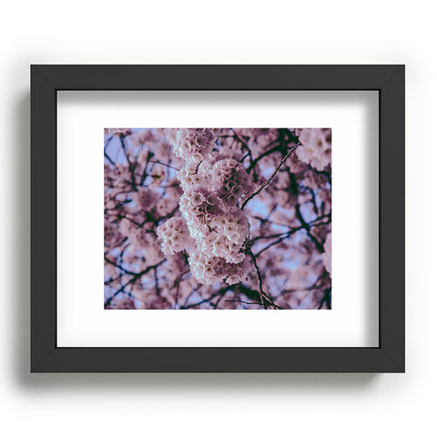Hannah Kemp Cherry Blossoms Photo Recessed Framing Rectangle