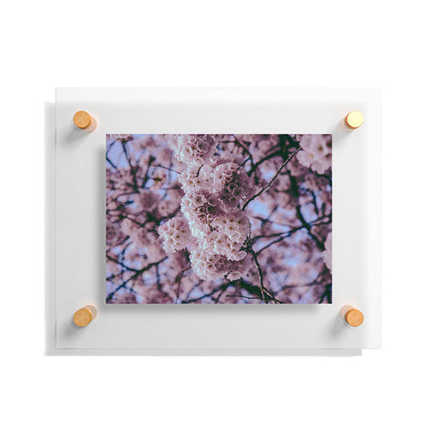 Hannah Kemp Cherry Blossoms Photo Floating Acrylic Print