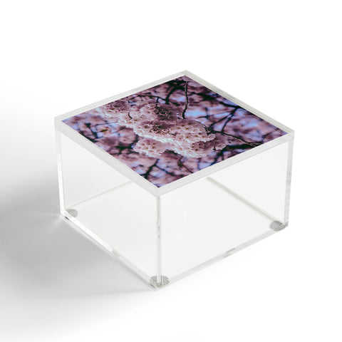 Hannah Kemp Cherry Blossoms Photo Acrylic Box