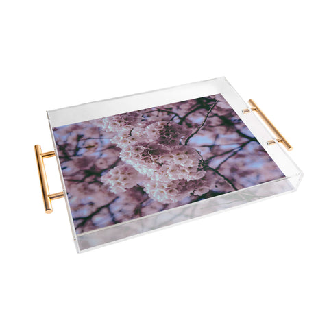 Hannah Kemp Cherry Blossoms Photo Acrylic Tray