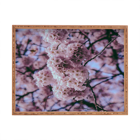 Hannah Kemp Cherry Blossoms Photo Rectangular Tray