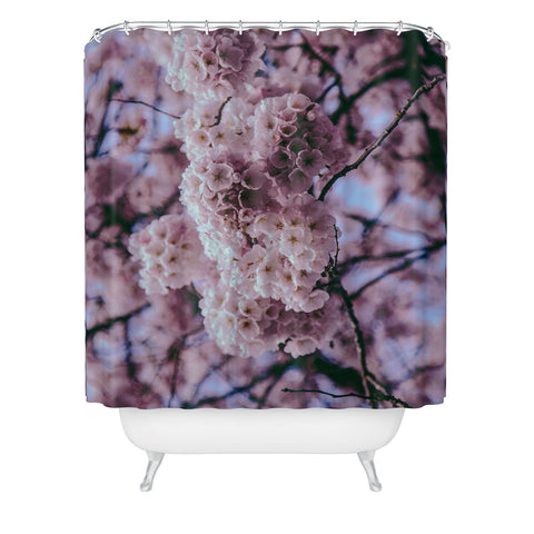 Hannah Kemp Cherry Blossoms Photo Shower Curtain