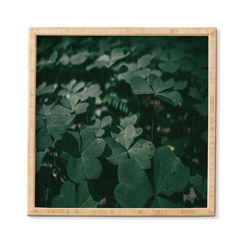 Hannah Kemp Clovers Nature Photo Framed Wall Art