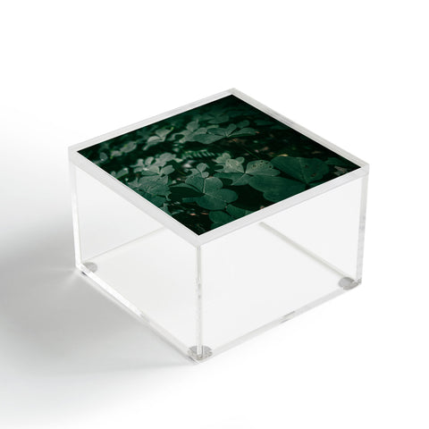 Hannah Kemp Clovers Nature Photo Acrylic Box