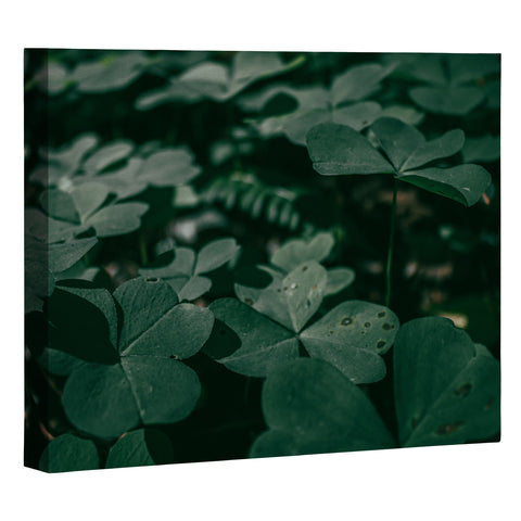 Hannah Kemp Clovers Nature Photo Art Canvas