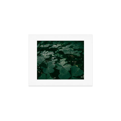 Hannah Kemp Clovers Nature Photo Art Print