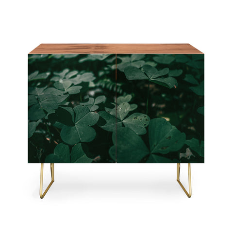 Hannah Kemp Clovers Nature Photo Credenza