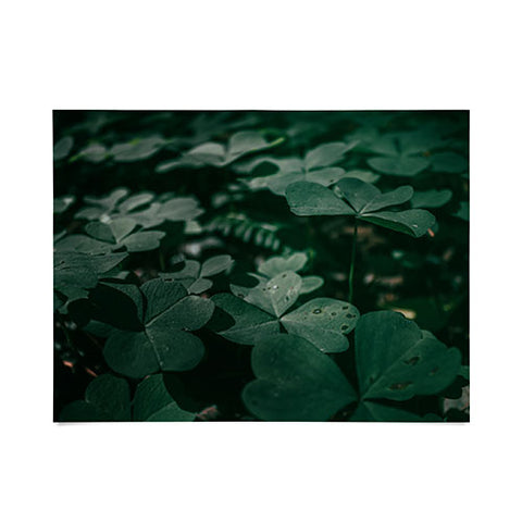 Hannah Kemp Clovers Nature Photo Poster