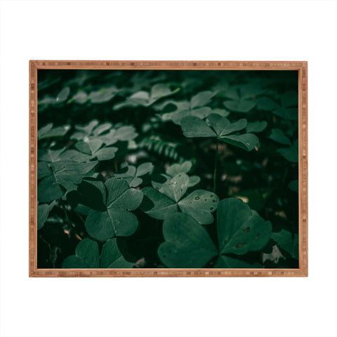 Hannah Kemp Clovers Nature Photo Rectangular Tray