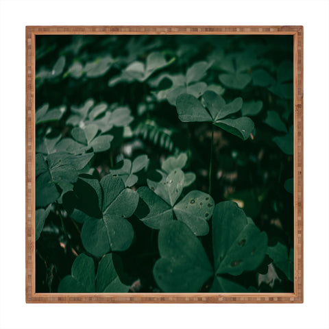Hannah Kemp Clovers Nature Photo Square Tray