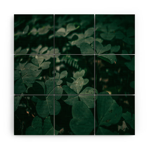Hannah Kemp Clovers Nature Photo Wood Wall Mural
